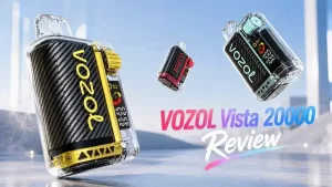 VOZOL Vista 20000 im Review mit Alltagstest und Langzeiterfahrung