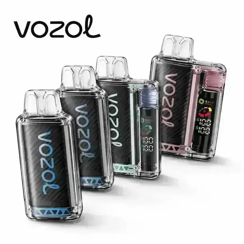 Vozol Vista 20000 einweg vpae kaufen