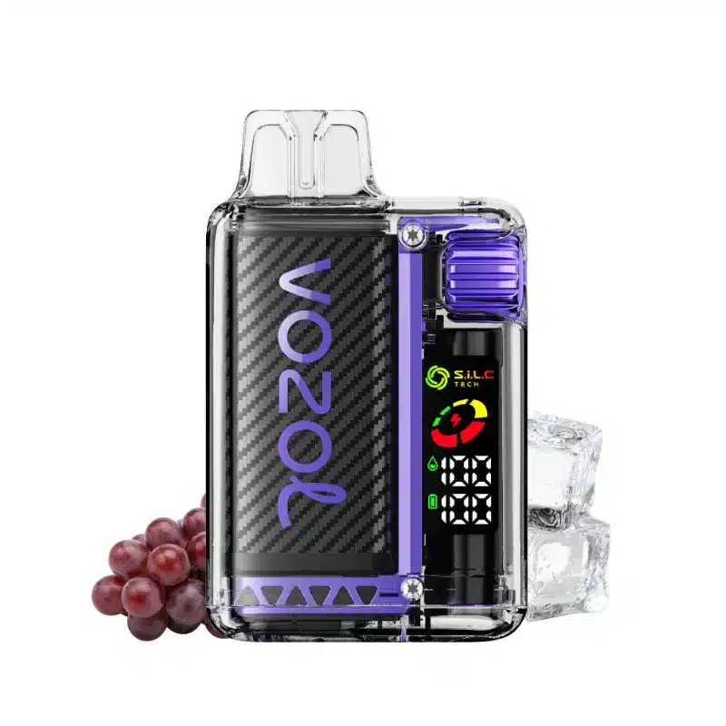Vozol Vista 20000 Traube Ice (Grape Ice)